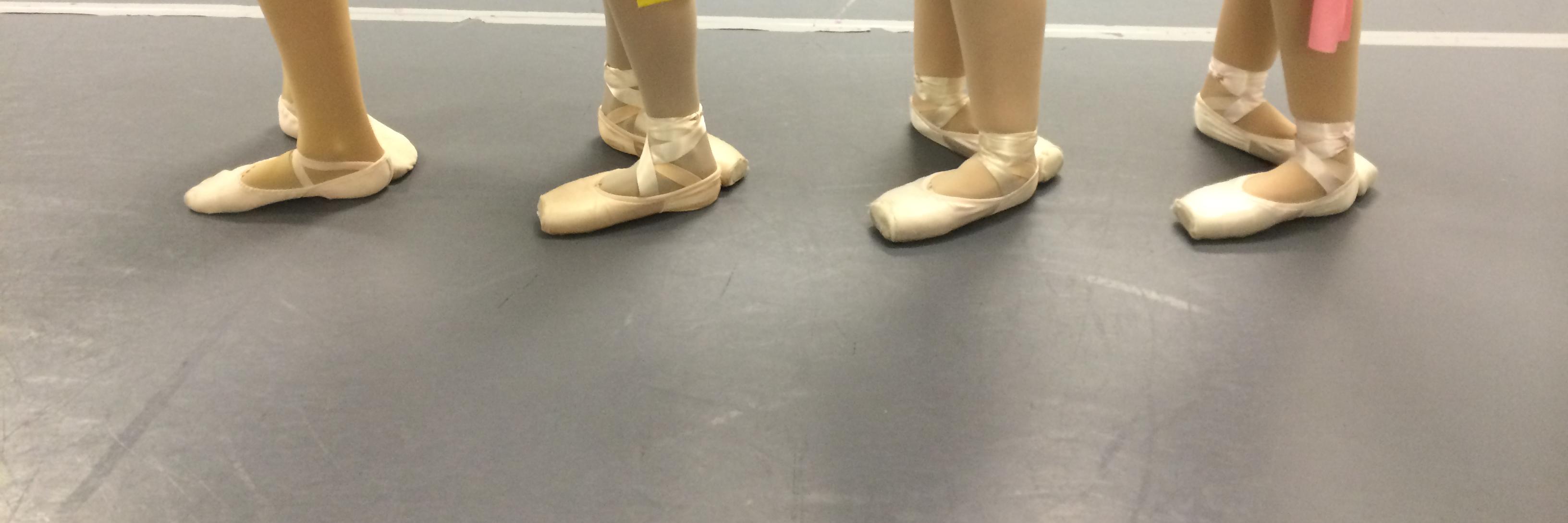 StAugDance's profile banner image