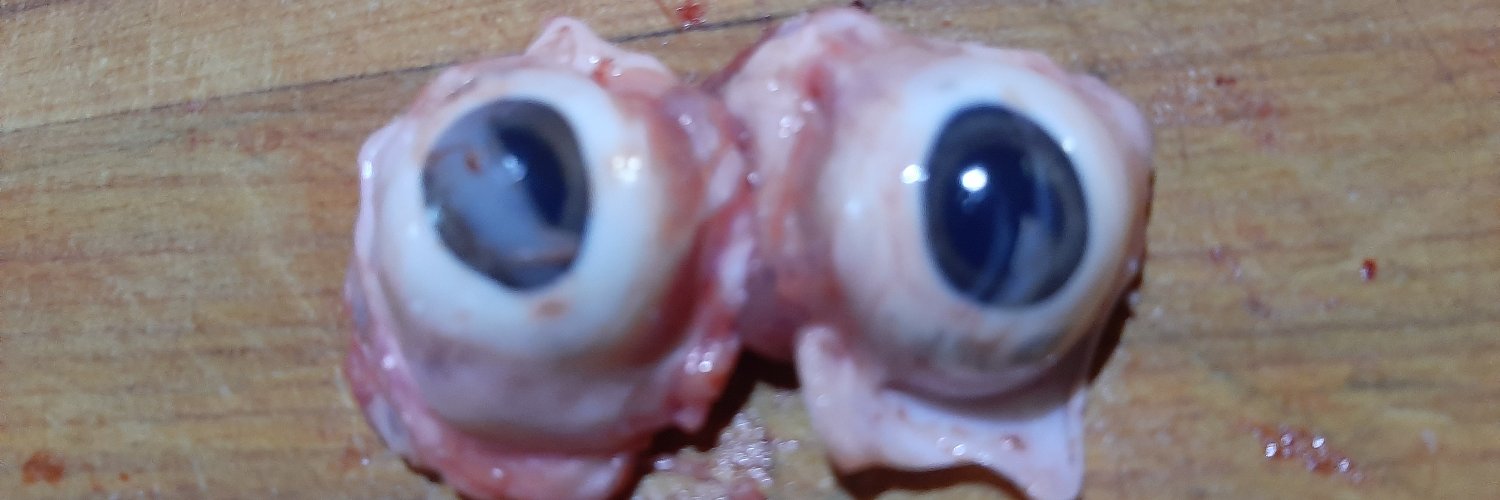 Jeff "Dude" Lebowski banner