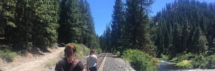 harriasdf's profile banner image
