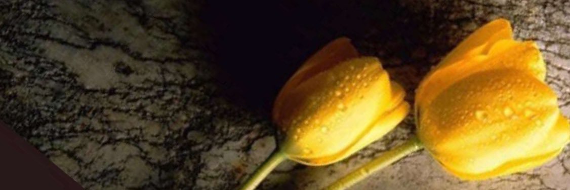 alkuhly3's profile banner image