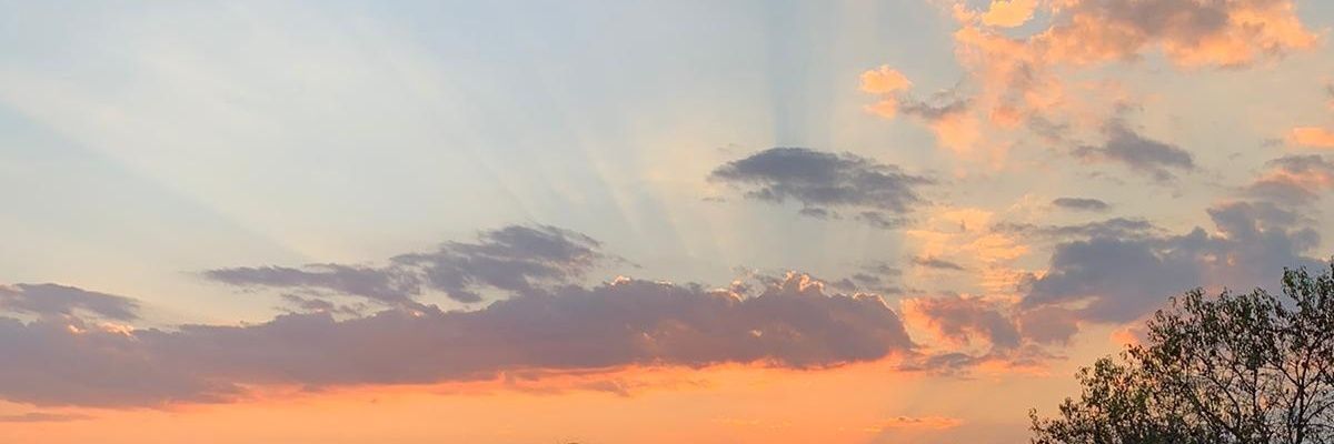 s_pasky's profile banner image