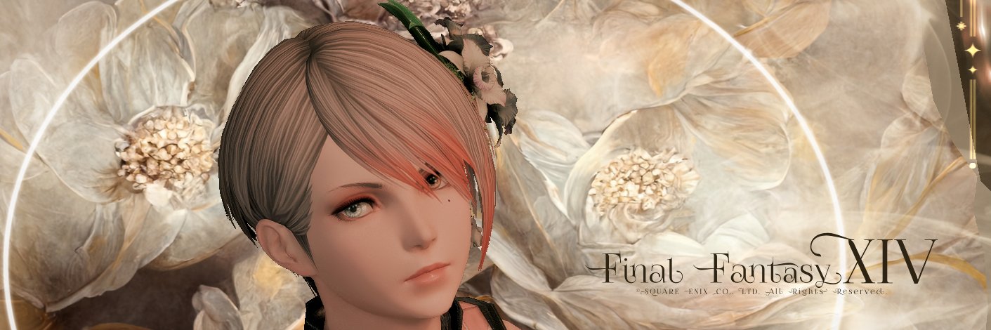 Hachi_Paka's profile banner image