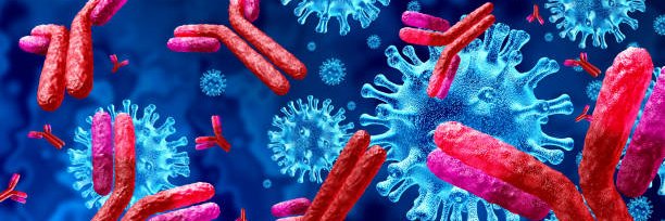 Veronica Obregon-Perko banner