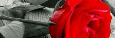 doric2012's profile banner image
