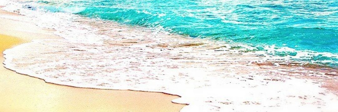 4294surfdays's profile banner image