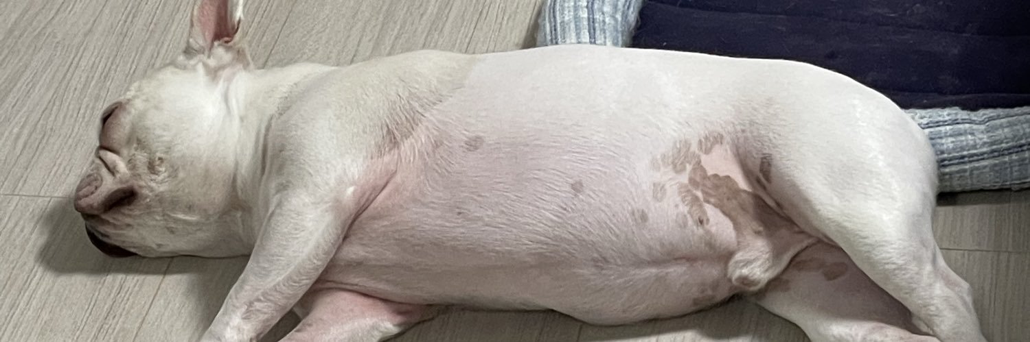 竹内（エガぼぅ） banner