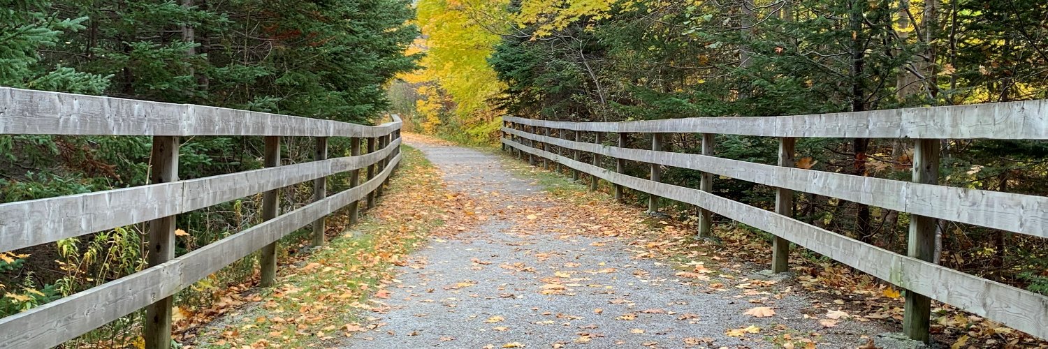 Michael Luedee banner
