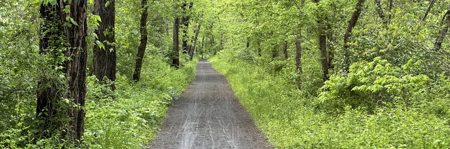 John Buchner he/him banner