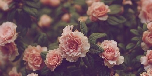 nadya_dv's profile banner image