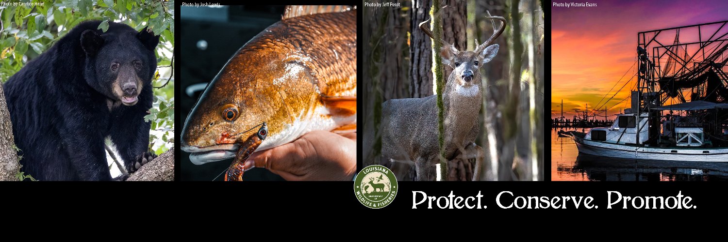 LaWildlife&Fisheries banner