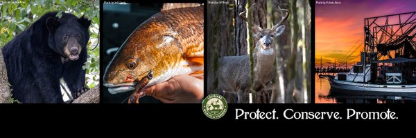 LDWF Profile Banner