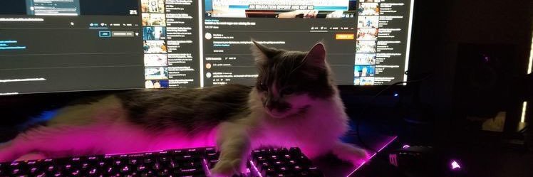 YousefEllouzy's profile banner image
