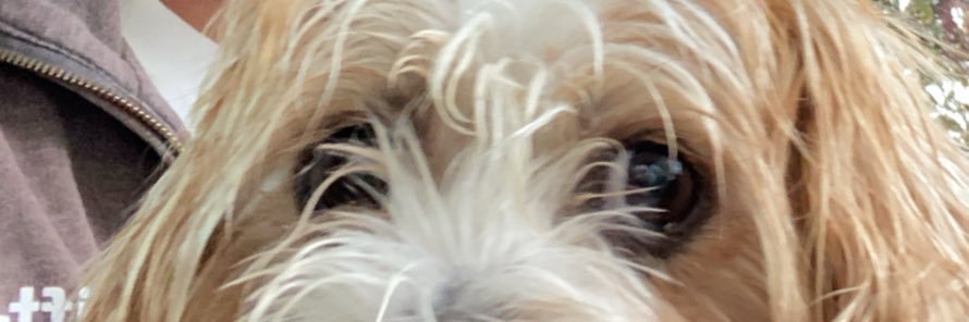 PeterBowen4's profile banner image