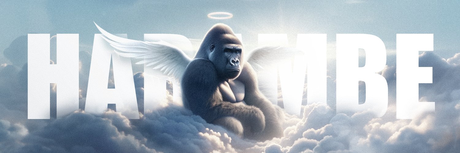 CoinHarambeSOL's profile banner image