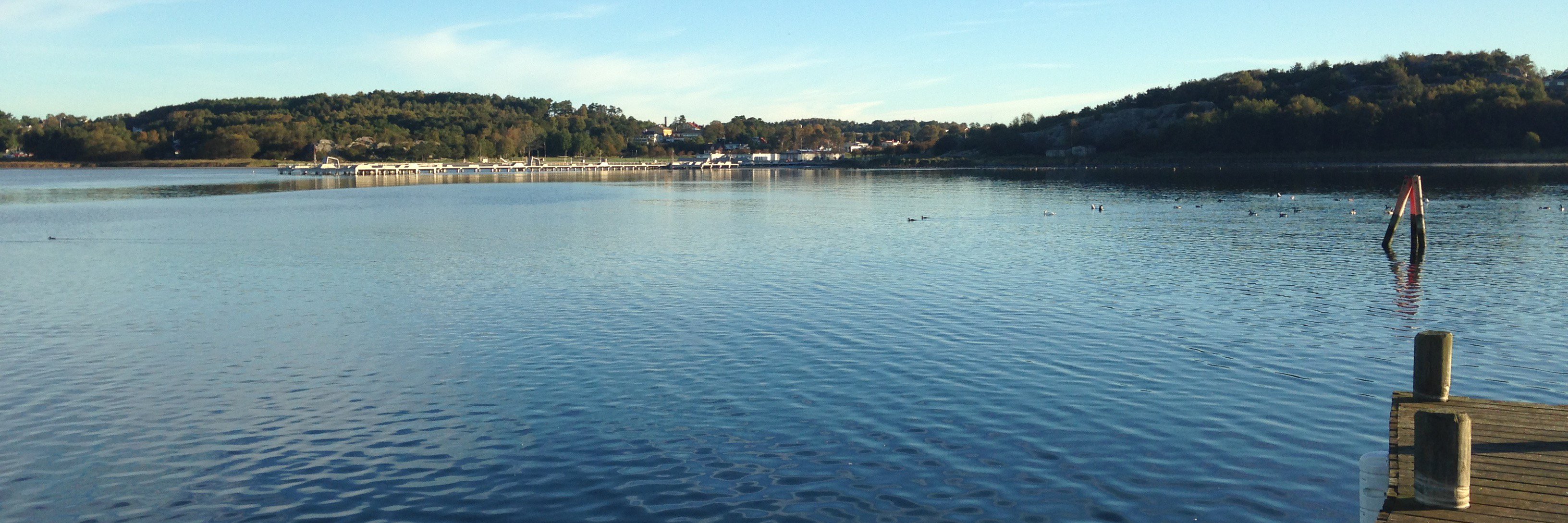 Anders Niklasson banner