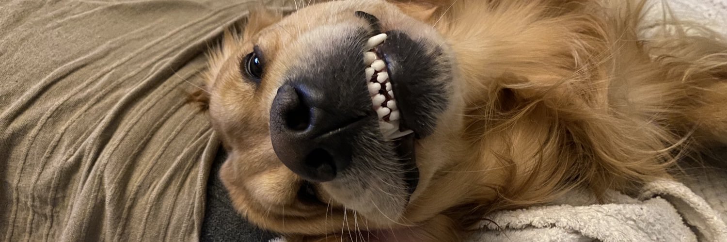 GodfroyJules's profile banner image