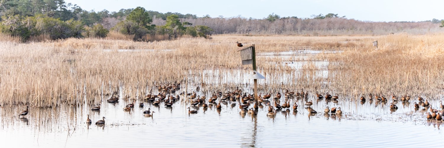 S.C. Dept. of Natural Resources banner