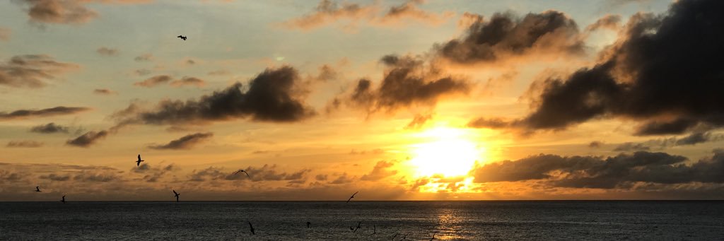 Mitch_Bowling's profile banner image