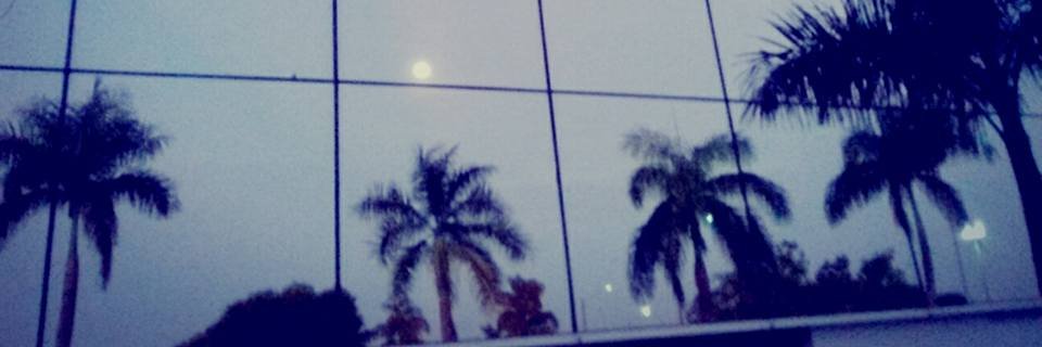 JuniorRobr's profile banner image