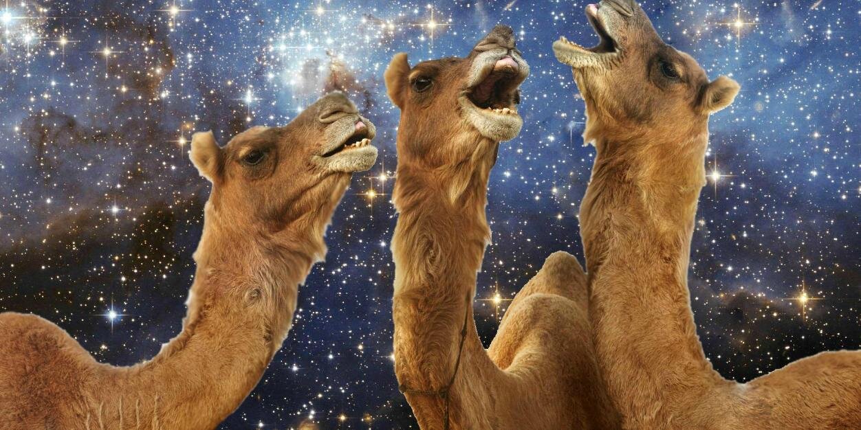 genericarabdude's profile banner image