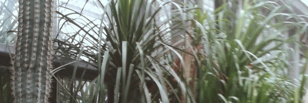 jasmine__bebe's profile banner image