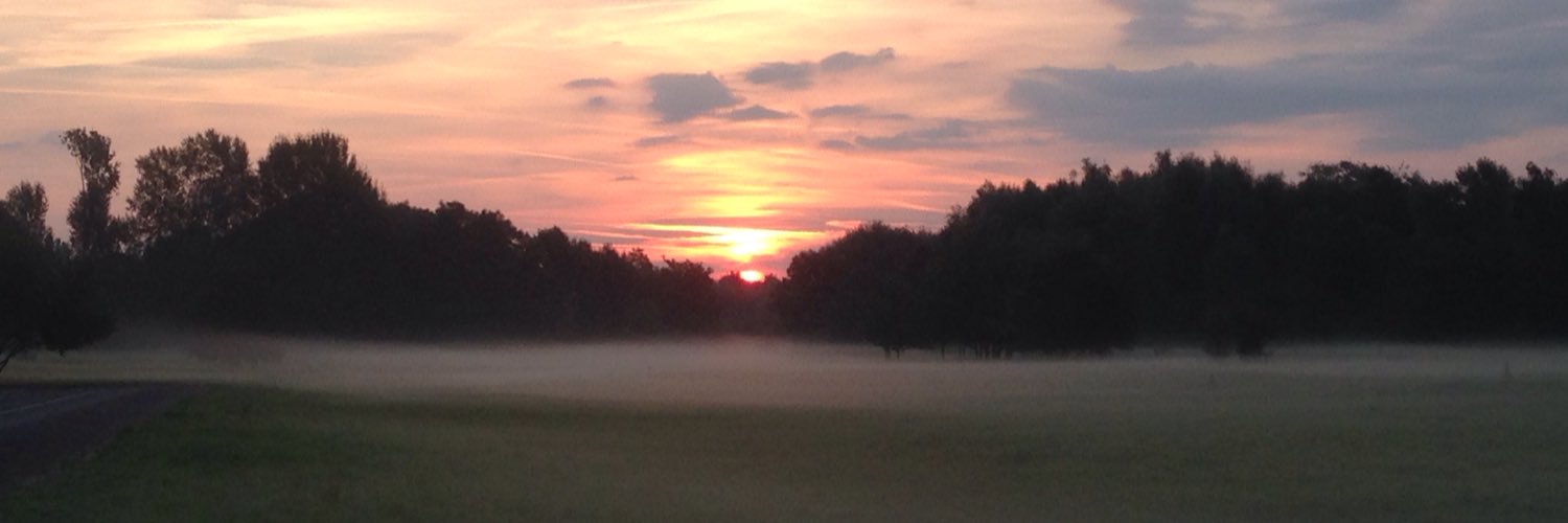 Derwodasovic 🇪🇺 banner