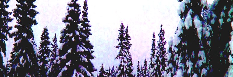 choderedox's profile banner image