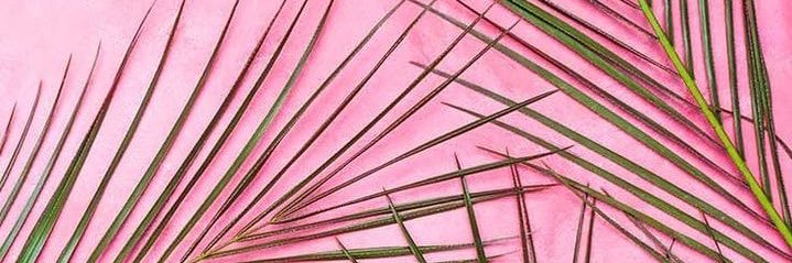 karlyylecomtee's profile banner image