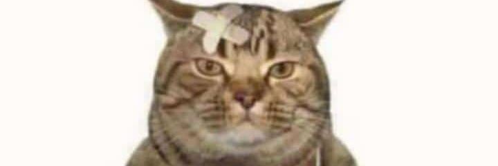 Muffle3z's profile banner image