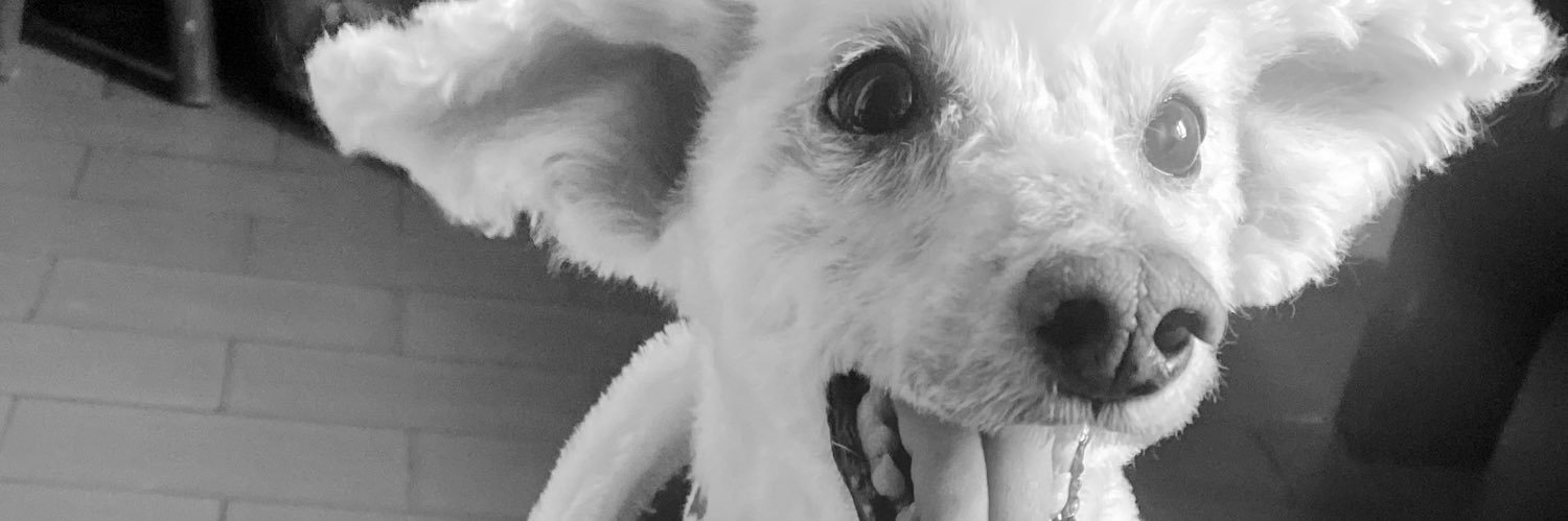 NannySanchez_'s profile banner image