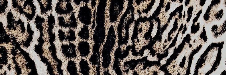 EmmaGuckert's profile banner image