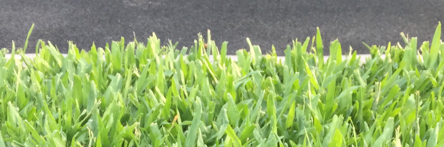Springfieldpost's profile banner image