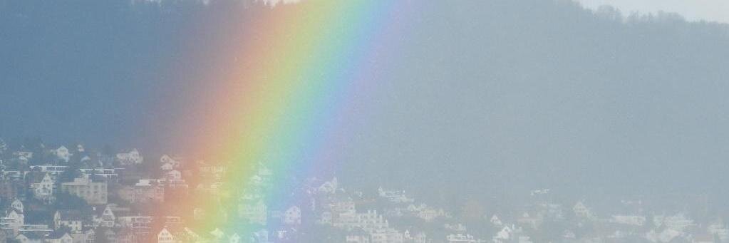 Barb_Bullock26's profile banner image