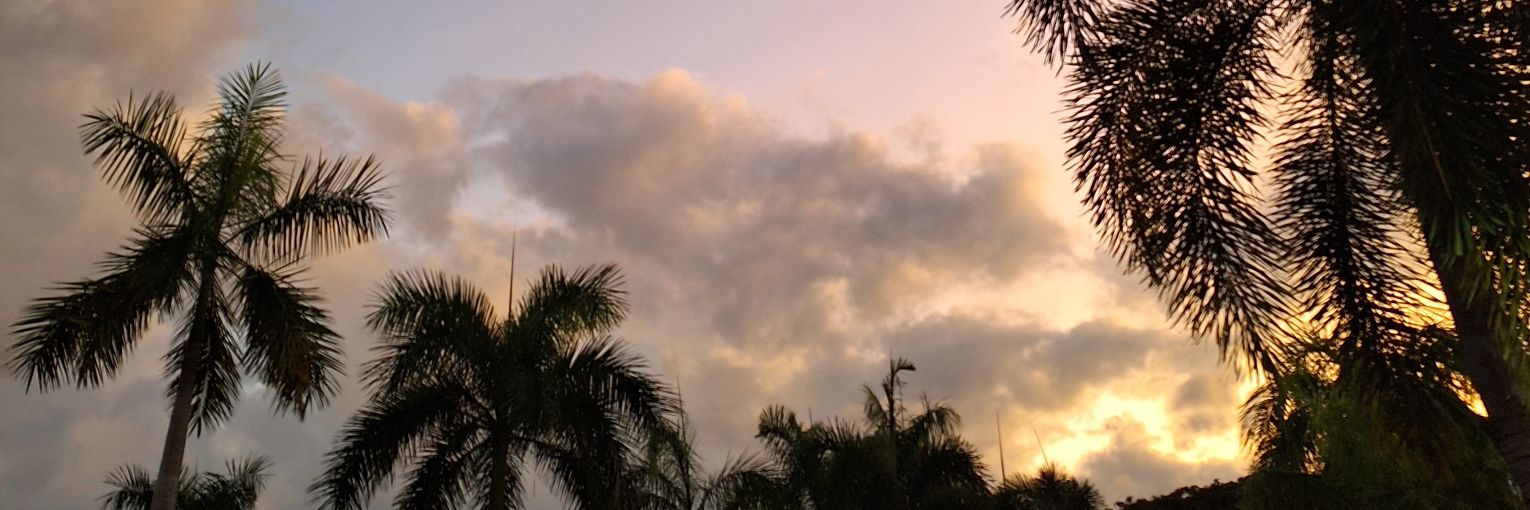 thrsdbls's profile banner image