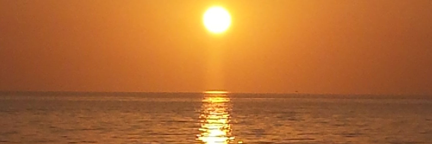 friesner4's profile banner image