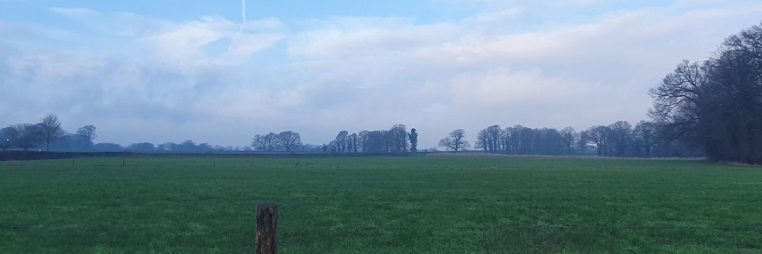 echt_ellen's profile banner image