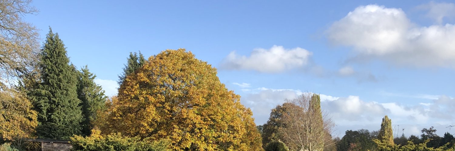 Ellie_Birch_'s profile banner image