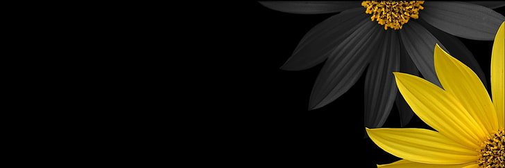 GabrezaMa's profile banner image