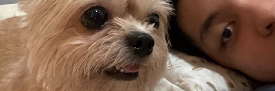 JcatlKaylie's profile banner image
