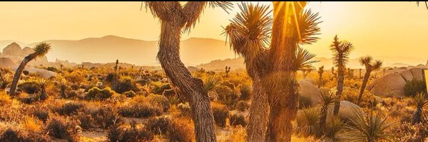 deepincroydon Profile Banner