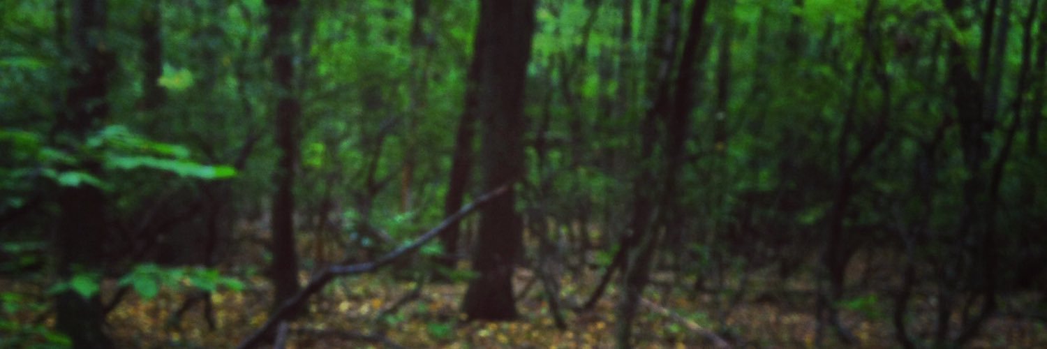 browndogscience's profile banner image