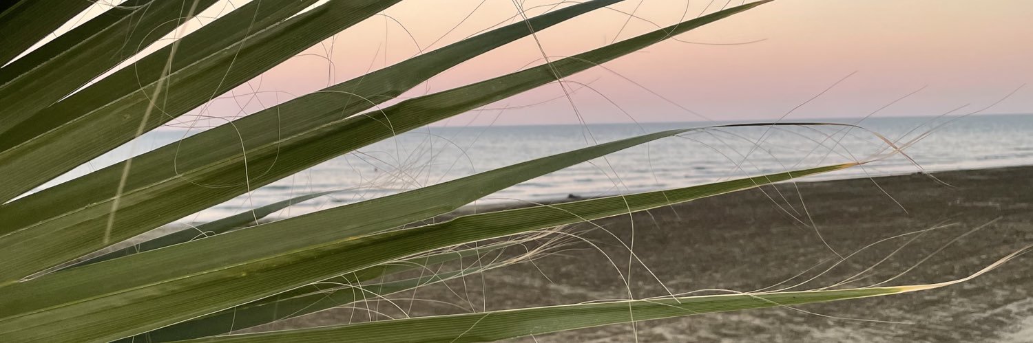 _emrl's profile banner image