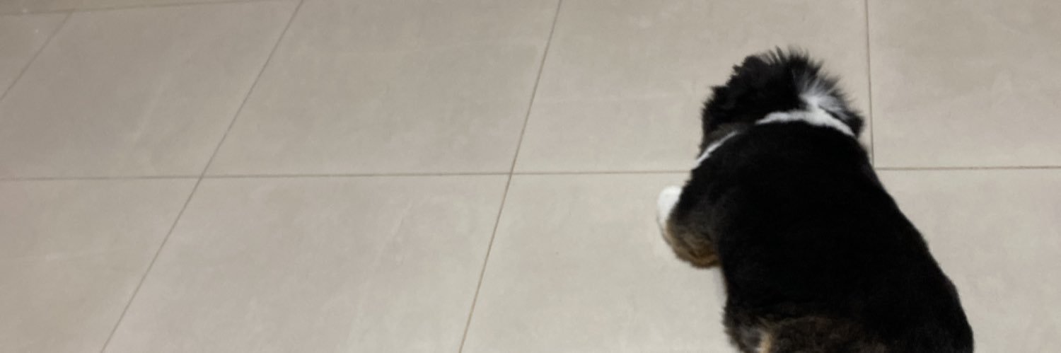 chenxinann's profile banner image