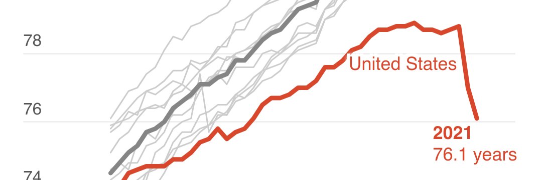 BDS ☭ 🇵🇸 Free Palestine banner
