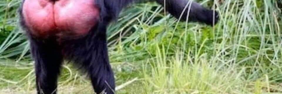 a_rowlinson's profile banner image