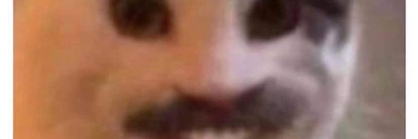 thereisnodill's profile banner image