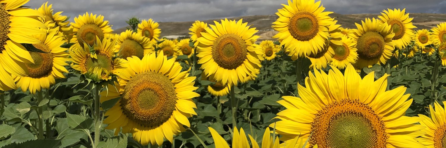 urizar_e's profile banner image