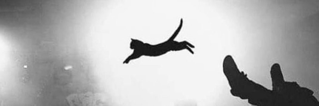Lknx's profile banner image