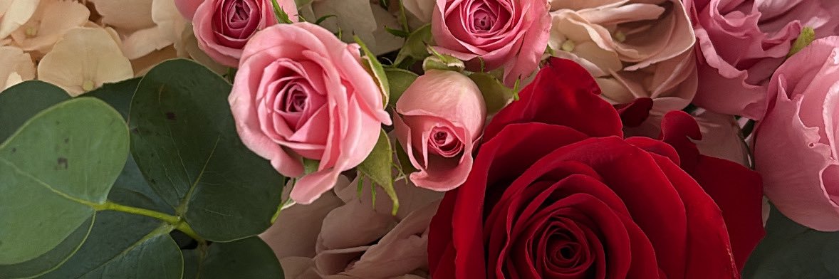 Clare_Jess1's profile banner image