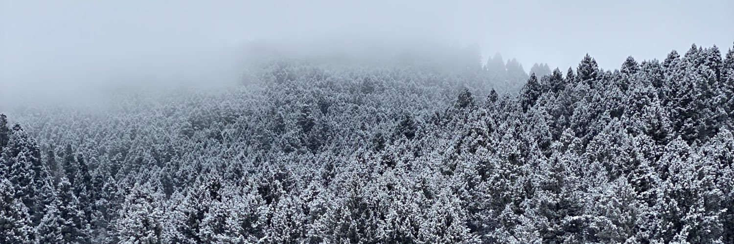 Catherineofmars's profile banner image
